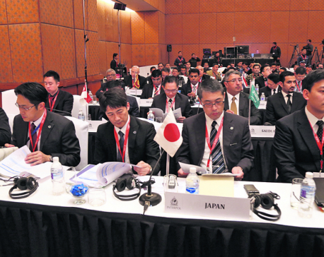 Interpol's Asia conference kicks off, focus on strengthening policing capacity